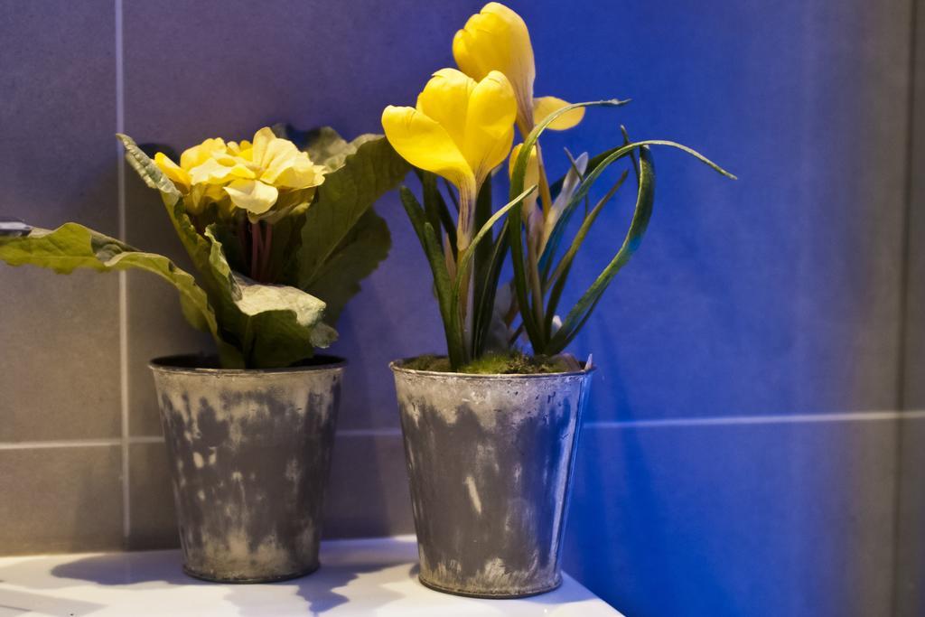 Domus Fontis Bed & Breakfast Rome Room photo